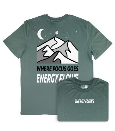 Portada Energy Flows