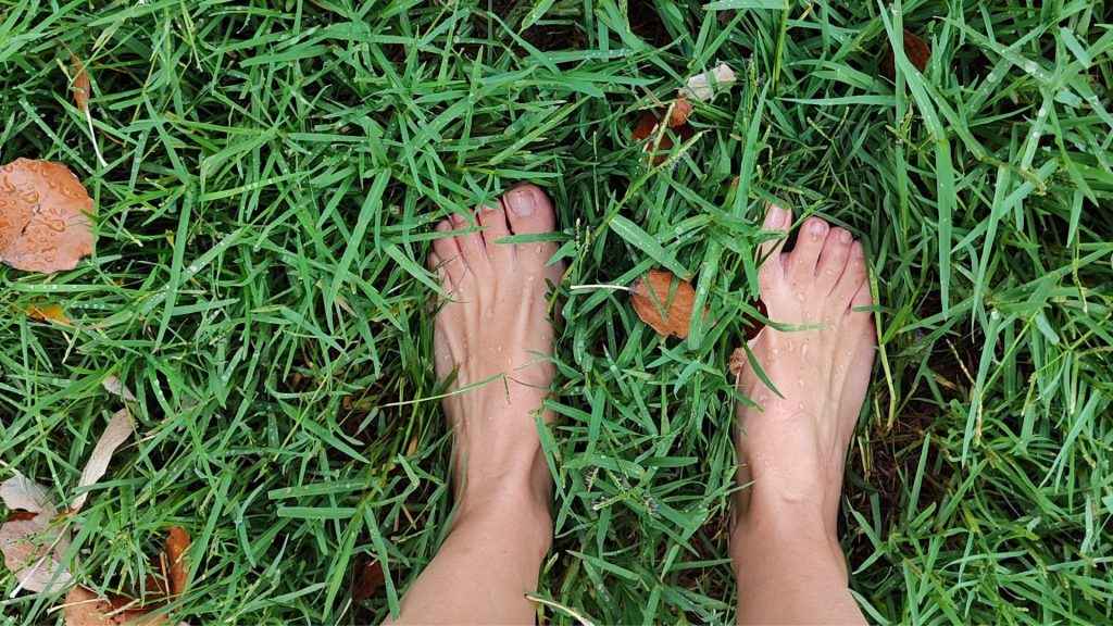 Earthing Blog