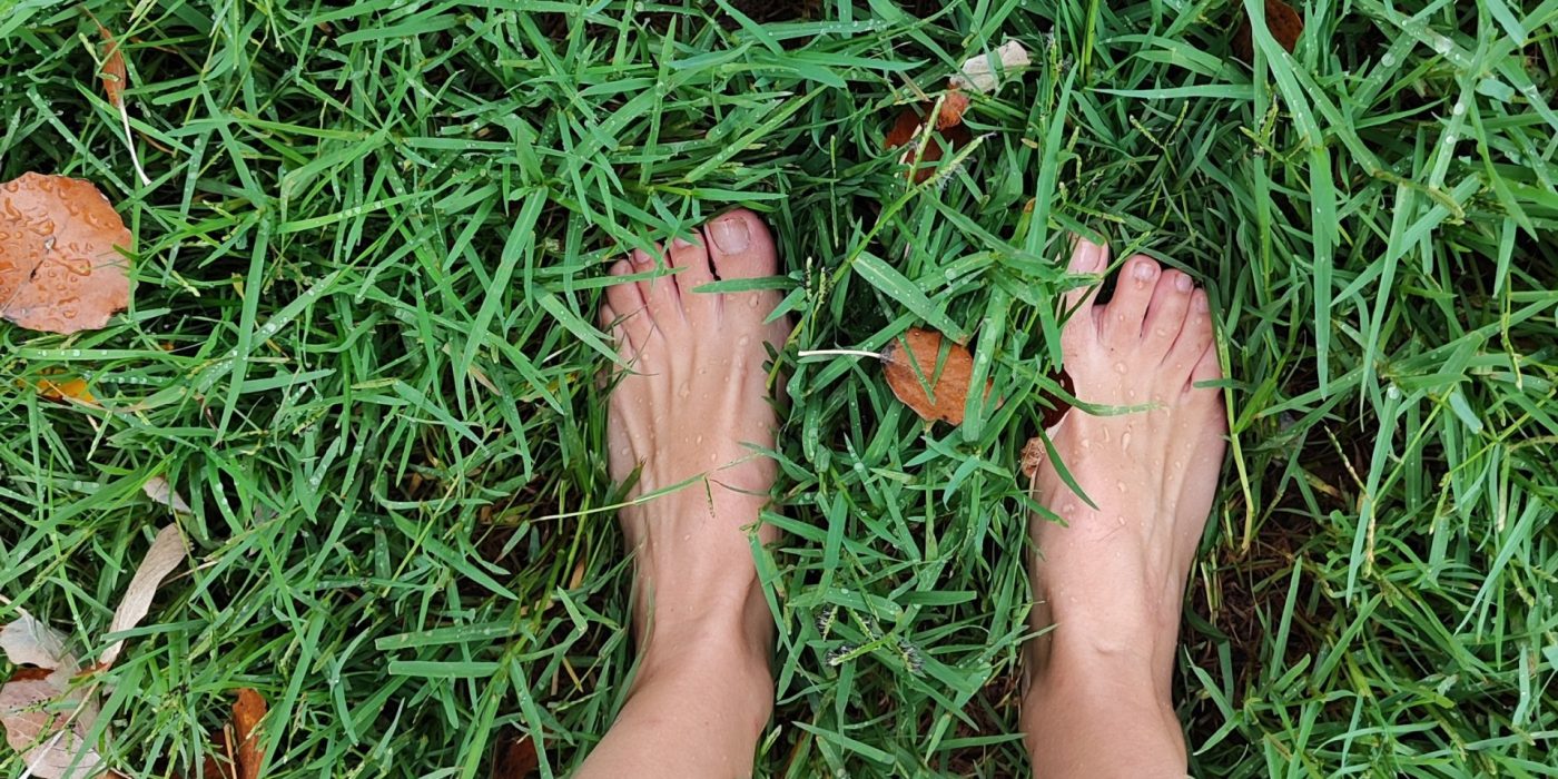 Earthing Blog